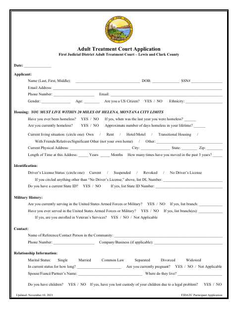 First page of the Adult Treatment Court Application