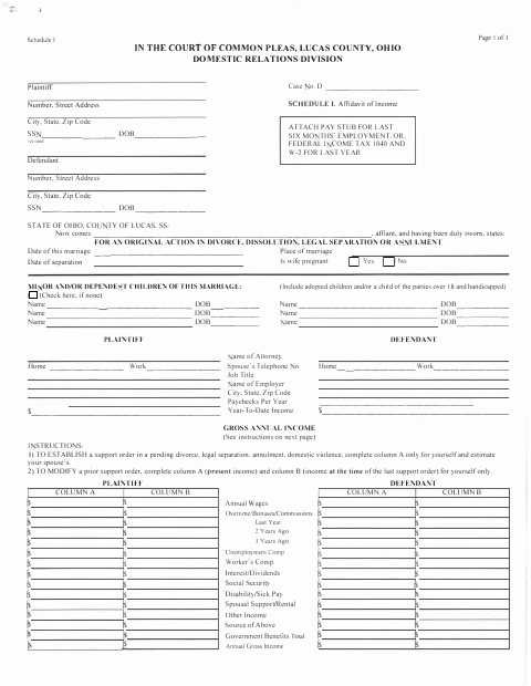 Schedule I Affidavit of Income, Lucas County form, first page