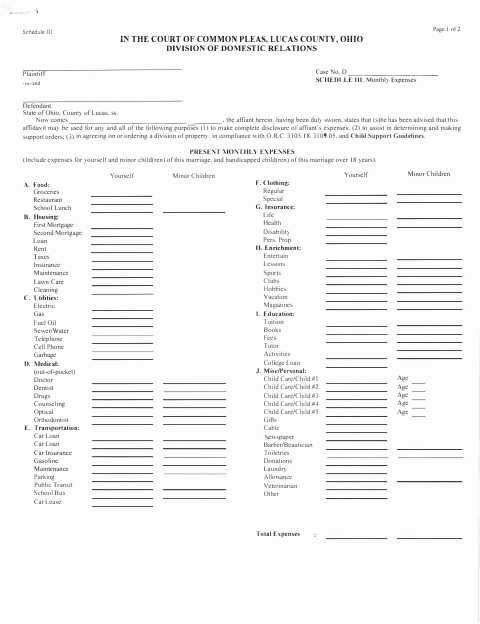 Schedule III Monthly Expenses, Lucas County form, first page