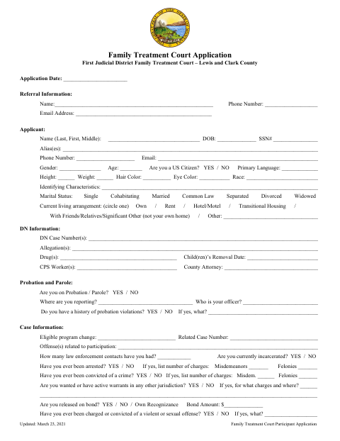 First page of the Family Treatment Court Participant Application