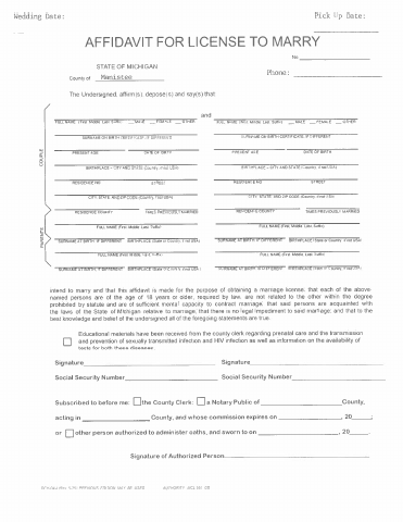 Affidavit for License to Marry, Manistee County form, first page
