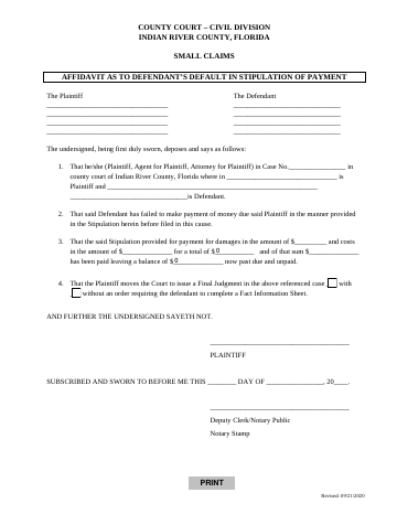 COUNTY COURT — Indian River County form, first page