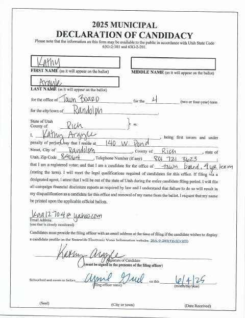First page of the Municipal Declaration of Candidacy and Campaign Financial Report