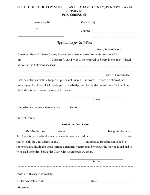 Application For Bail Piece, Adams County form, first page