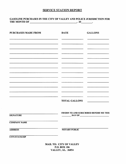 First page of the Service Station Report