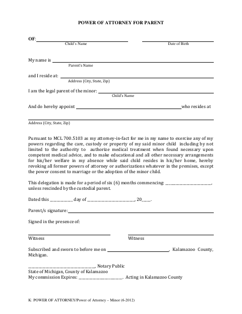 Power of Attorney for Minor, Kalamazoo County form, first page
