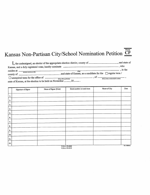 First page of the Non-Partisan City/School Nomination Petition